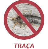 Traça